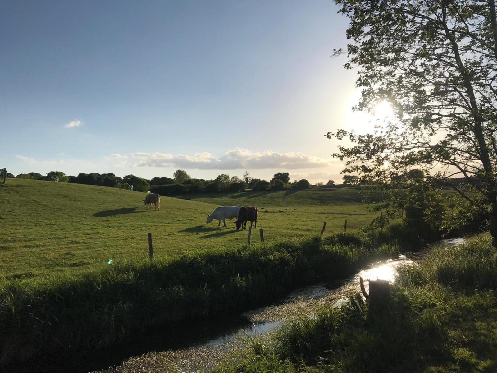 Seestern Bunsdorf Eksteriør bilde